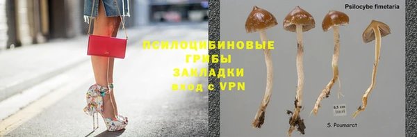 амф Зеленодольск