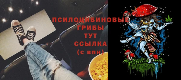 МДПВ Зеленокумск